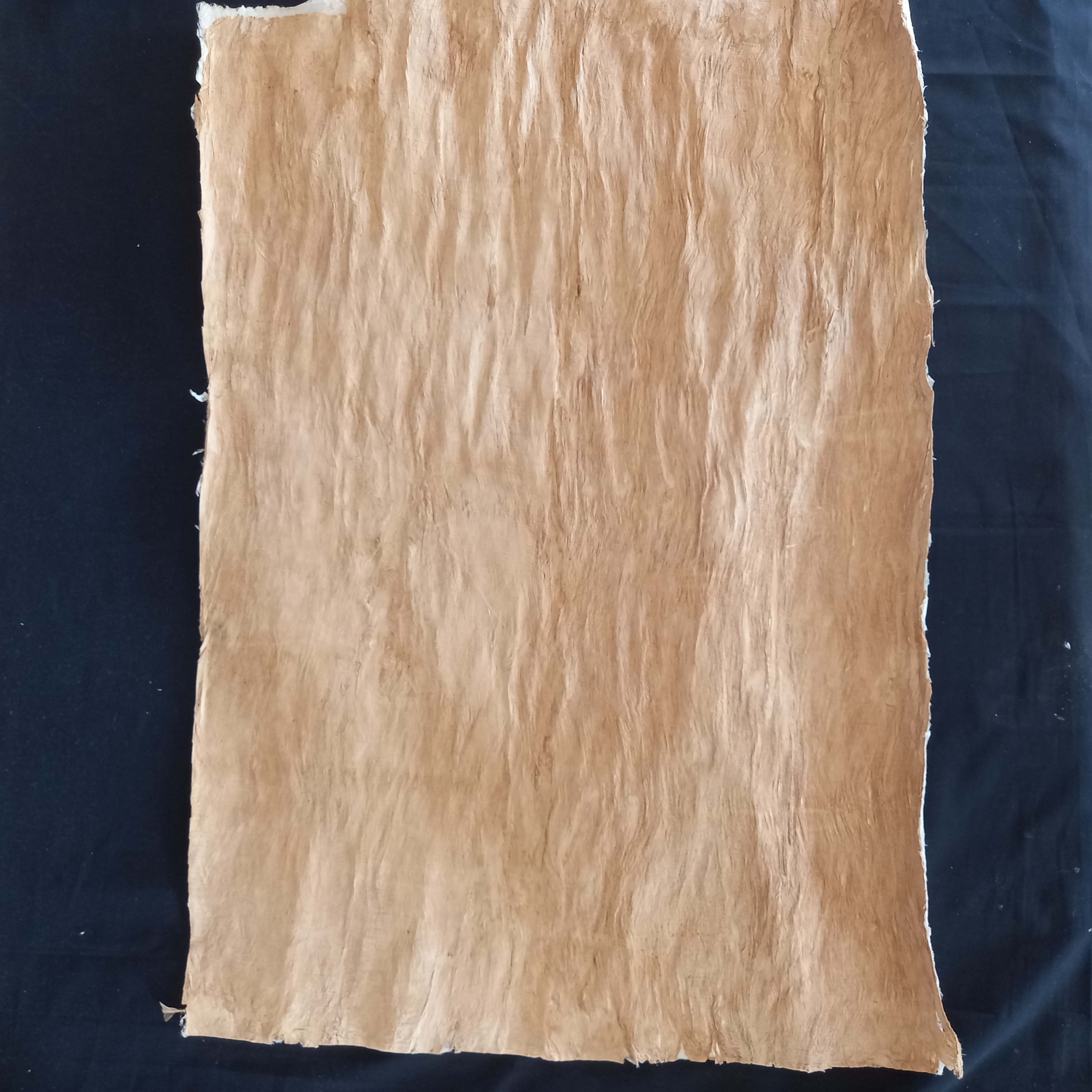 Bark paper 2 size 90x70 cm