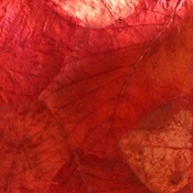 Teak leaves mulberry paper - Red color, 55x80 cm