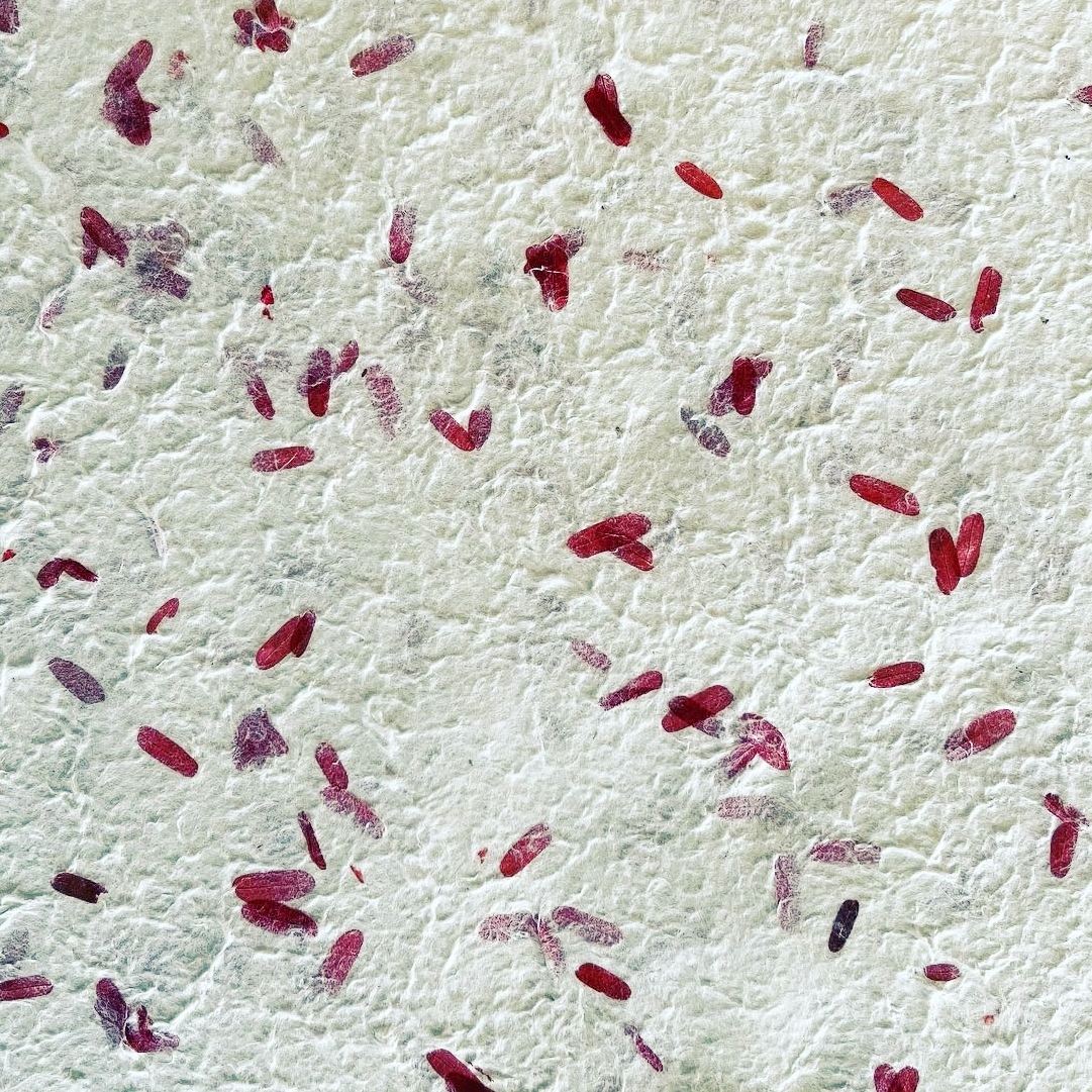 Mulberry paper, offwhite, with red colored tamarind leaves