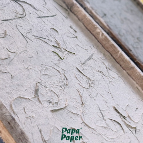 Mulberry paper with green bamboo leaves 55 x 80 cm กระดาษสาผสมใบไผ่