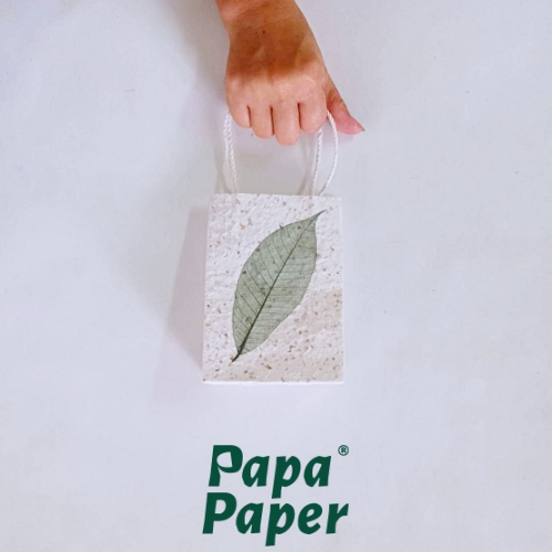 Paper Bag - White mixed shell + Green Leaf 16x11.5x5cm