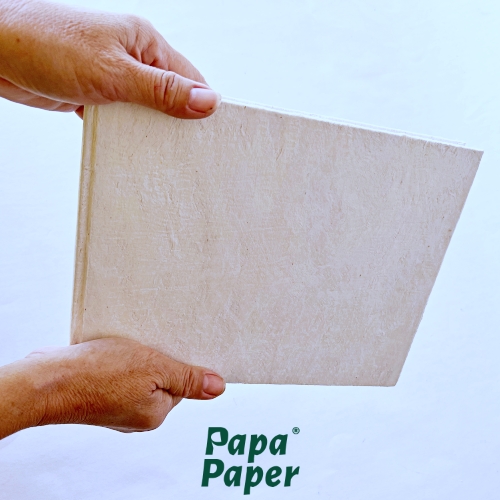 Guestbook size H20xW25cm, white tissue cover, 32 sheets green read สมุดปกเยื่อสาขาว