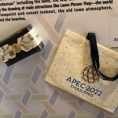 Bag mulberry with coffee chaff for APEC2022